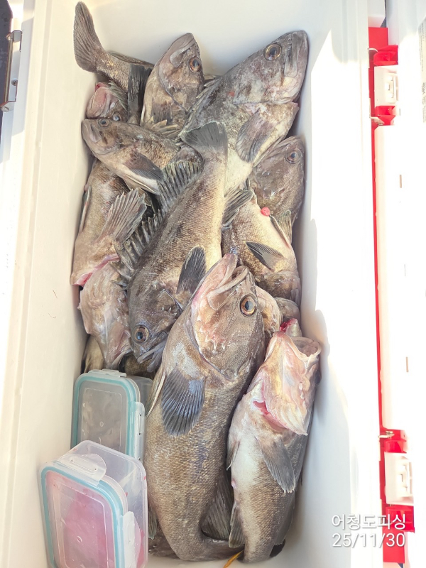 최강피싱 063.463.0800_사진_20251130_32.jpg