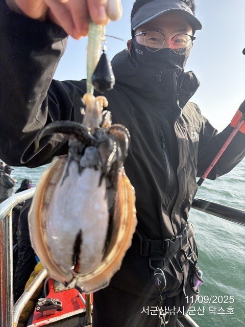 군산 선상낚시, 바다낚시 출조 전문 ☆서군산낚시☆_사진_20251109_1.jpg