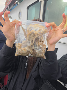 인천쭈꾸미낚시 (14).jpg