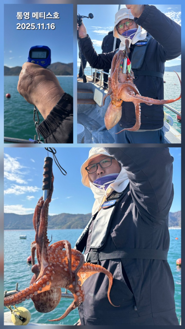 통영 메티스호_사진_20251117_6.jpg