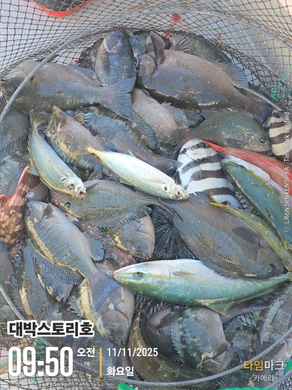 2025-11-11 09.50.01__(대박스토리호).jpg