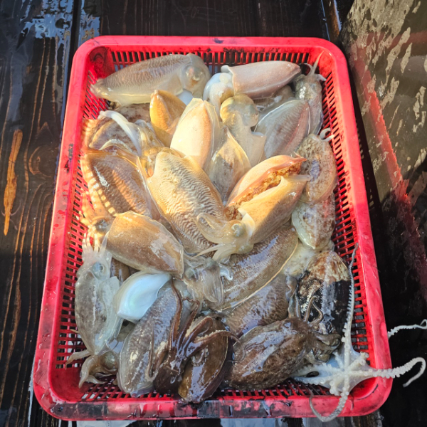 마검포 대한호(VIP)_사진_20251112_3.jpg