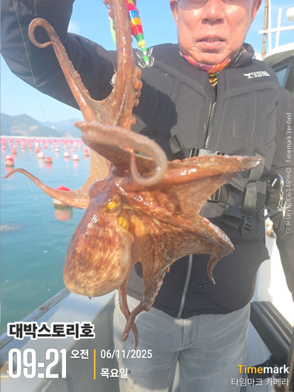 2025-11-06 09.21.06__(대박스토리호).jpg