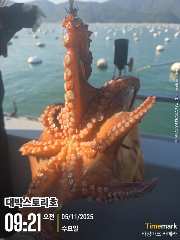 2025-11-05 09.21.44__(대박스토리호).jpg