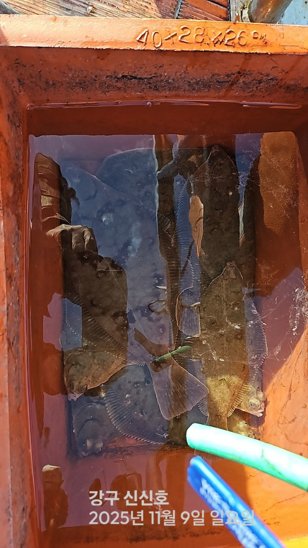 신신낚시 강구점 신신호_사진_20251109_6.jpg