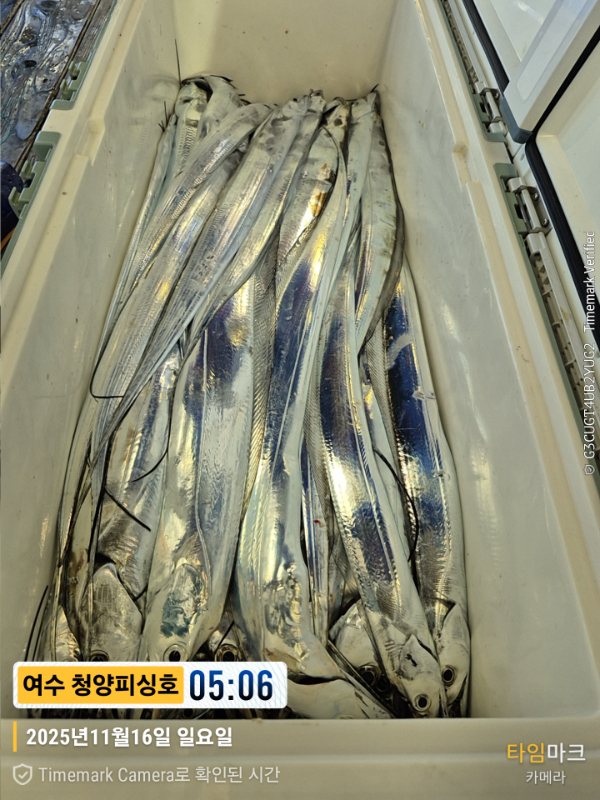 2025-11-16 05.06.18__(제목-여수 청양피싱호).jpg