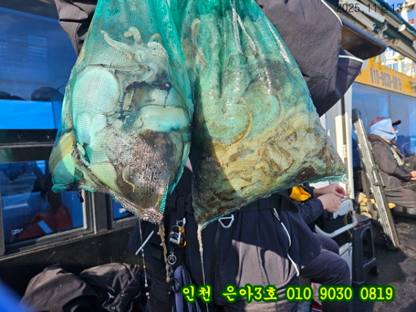 11월13 3호 (5).jpg