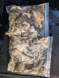 인천쭈꾸미낚시 (6).jpg