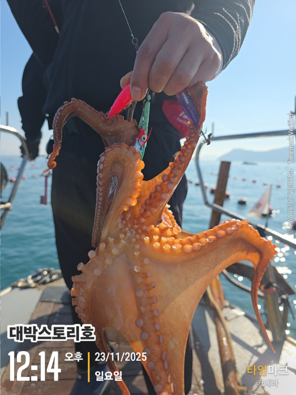 2025-11-23 12.14.30__(대박스토리호).jpg