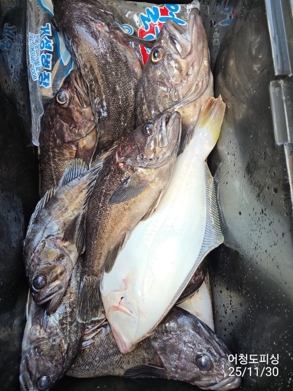 최강피싱 063.463.0800_사진_20251130_34.jpg