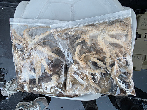 인천쭈꾸미낚시 (26).jpg