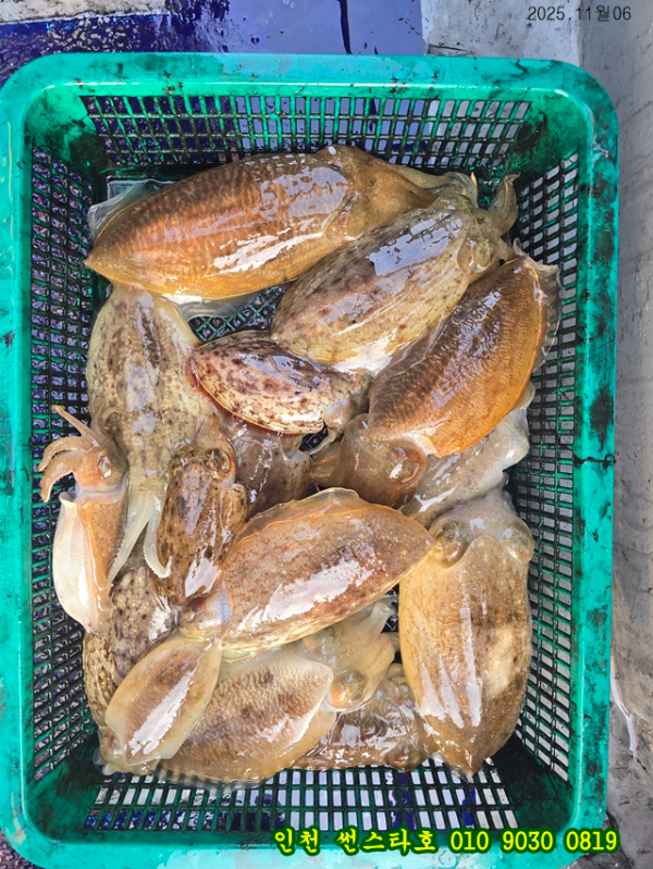 11월06 썬 (19).jpg