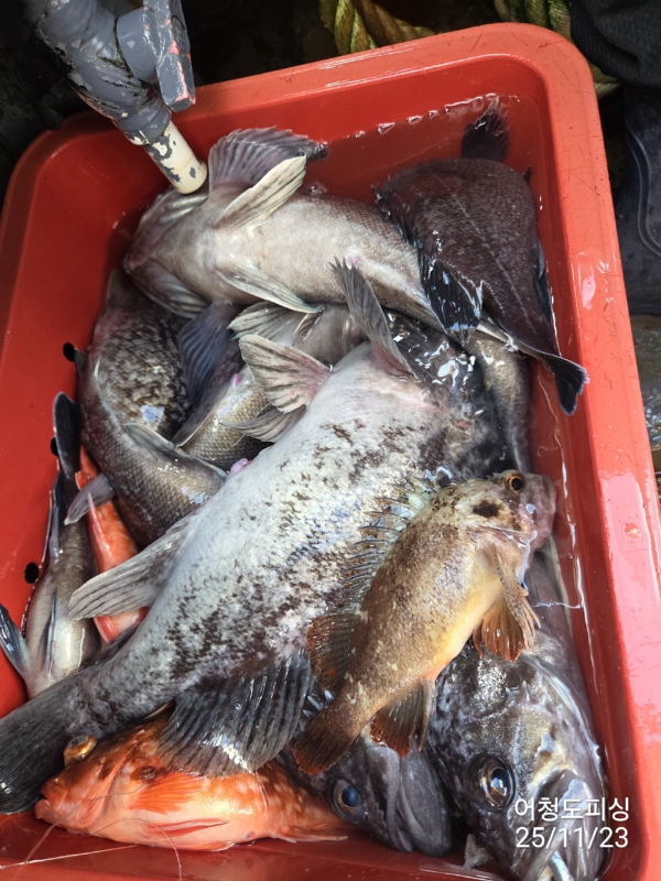 최강피싱 063.463.0800_사진_20251123_21.jpg