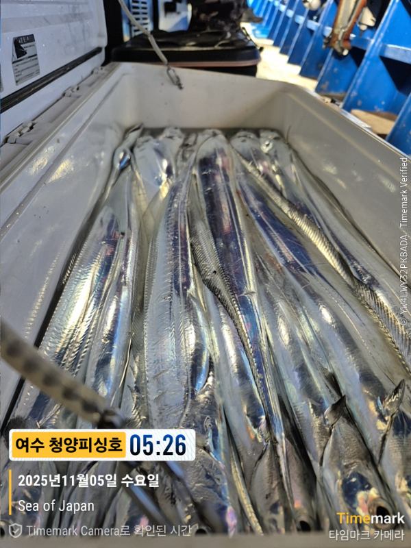 2025-11-05 05.26.56_Japan_(제목-여수 청양피싱호).jpg