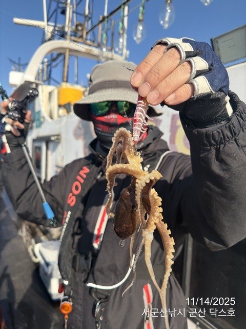 군산 선상낚시, 바다낚시 출조 전문 ☆서군산낚시☆_사진_20251114_19.jpg