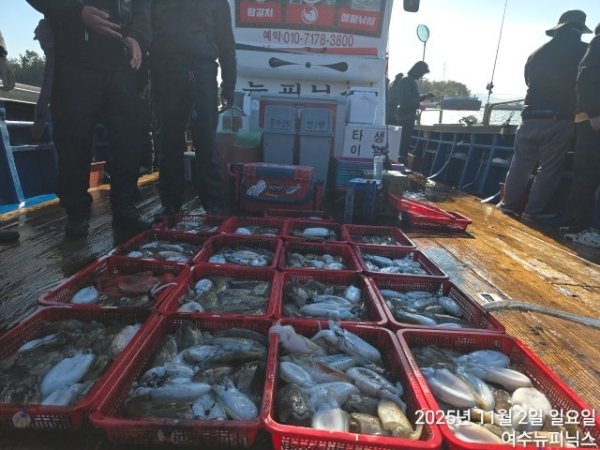 11월2일갑오징어 (1).jpg