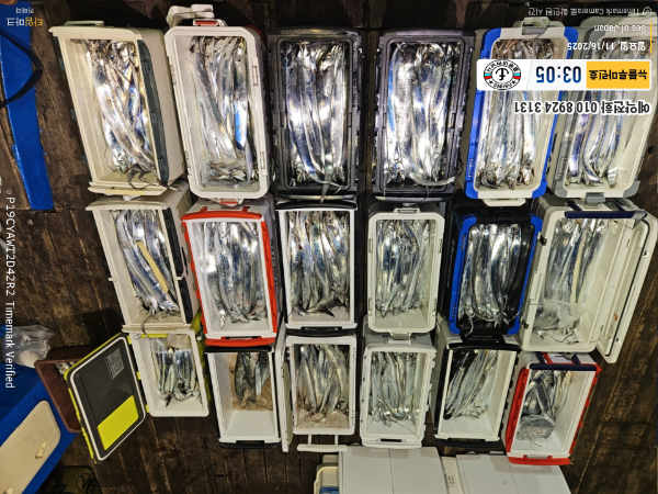 2025-11-16 03.05.08_Japan_(제목-뉴블루마린호)_(예약전화 010 8924 3131).jpg