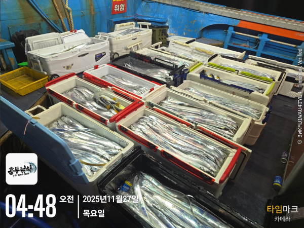 2025-11-27 04.48.04_.jpg