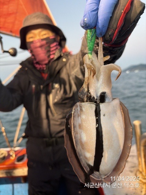 군산 선상낚시, 바다낚시 출조 전문 ☆서군산낚시☆_사진_20251104_14.jpg