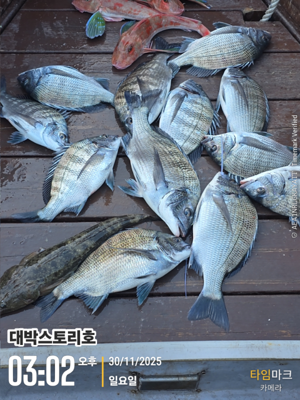 2025-11-30 03.02.38__(대박스토리호).jpg