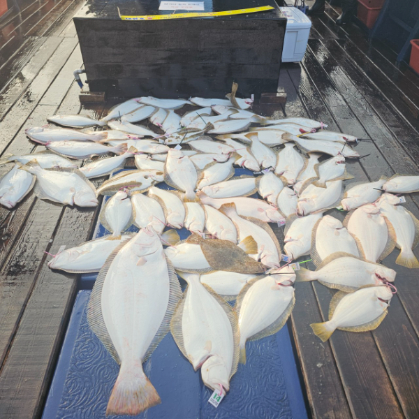 마검포 대한호(VIP)_사진_20251130_3.jpg