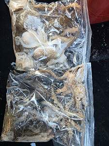 인천쭈꾸미낚시 (27).jpg