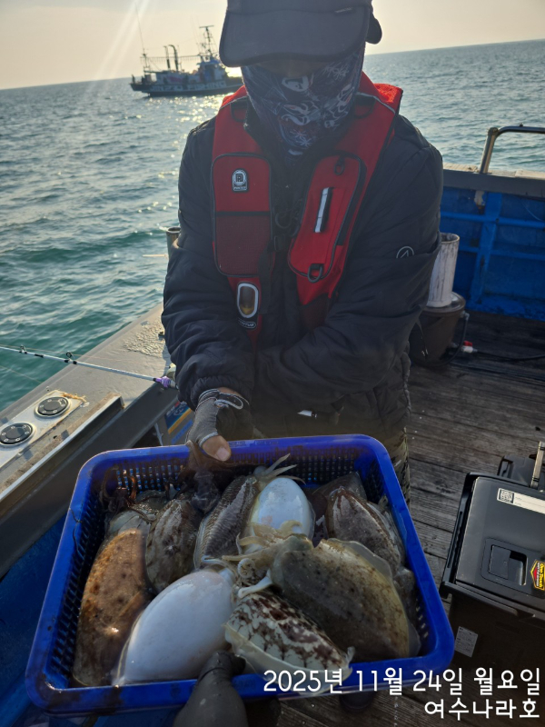 ♠여수나라호♠ 갈치 문어 참돔(타이라바), 쭈꾸미 갑오징어 선상낚시 생활낚시_사진_20251125_6.jpg