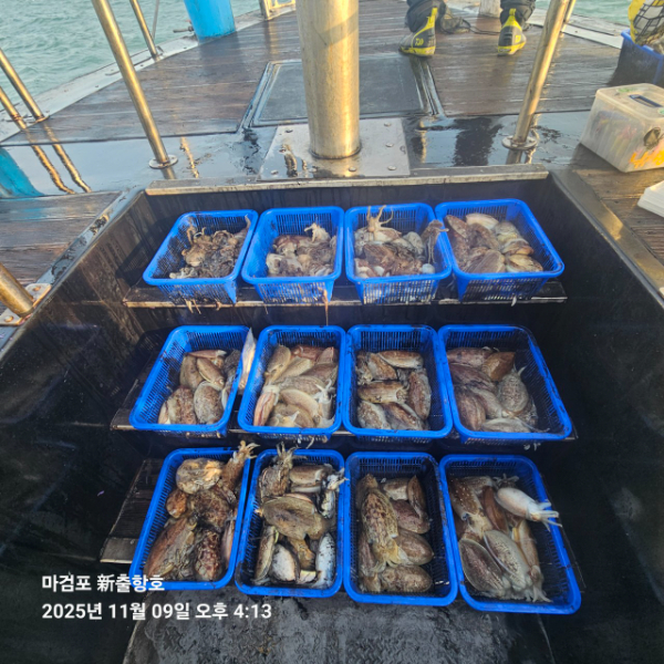 ꫛꫀꪝ✧‧˚ 태안 마검포 新출항호 .• _˚☀₊_사진_20251109_2.jpg