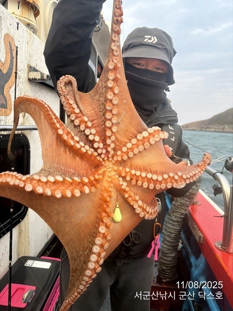 군산 선상낚시, 바다낚시 출조 전문 ☆서군산낚시☆_사진_20251108_18.jpg