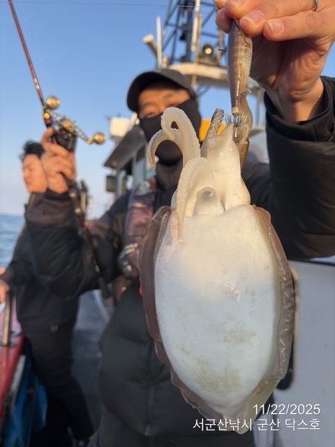 군산 선상낚시, 바다낚시 출조 전문 ☆서군산낚시☆_사진_20251122_1.jpg