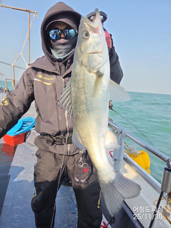 최강피싱 063.463.0800_사진_20251130_4 - 복사본.jpg