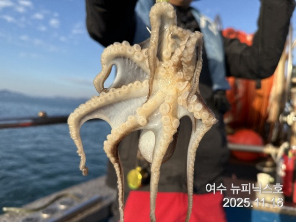 11월16일왕쭈갑 (18).jpg