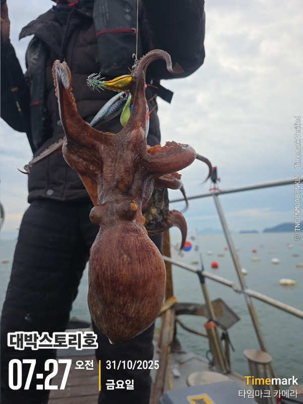 2025-10-31 07.27.52__(대박스토리호).jpg