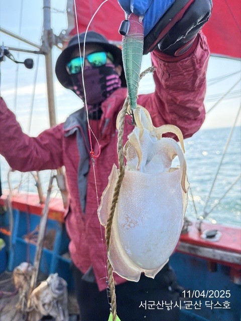 군산 선상낚시, 바다낚시 출조 전문 ☆서군산낚시☆_사진_20251104_7.jpg