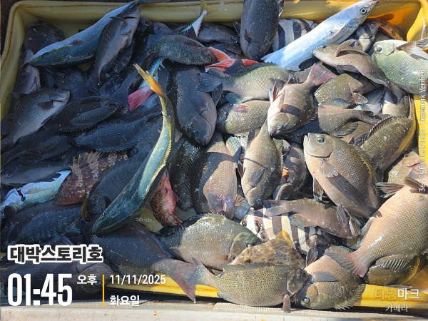 2025-11-11 01.45.48__(대박스토리호).jpg
