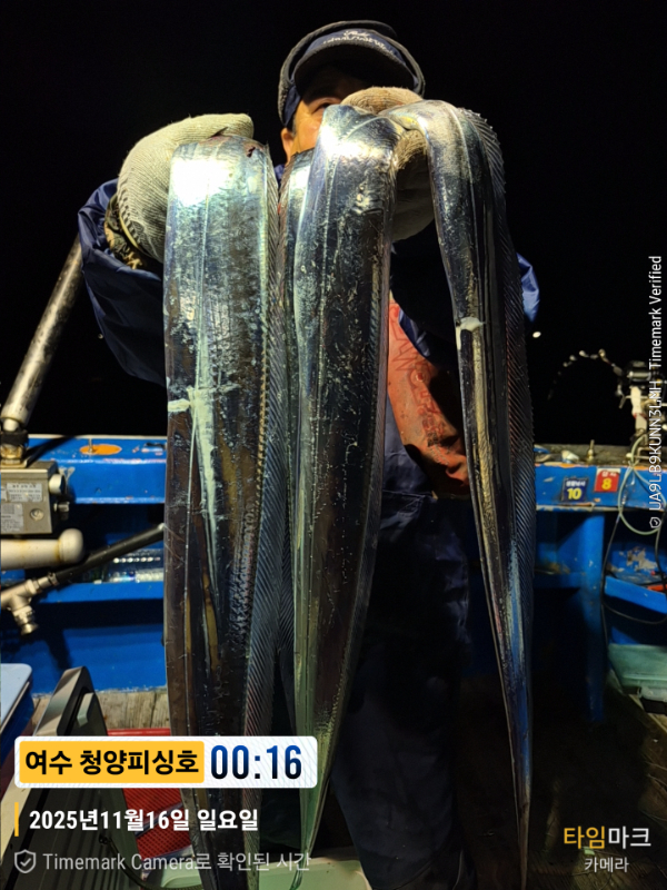 2025-11-16 00.16.47__(제목-여수 청양피싱호).jpg