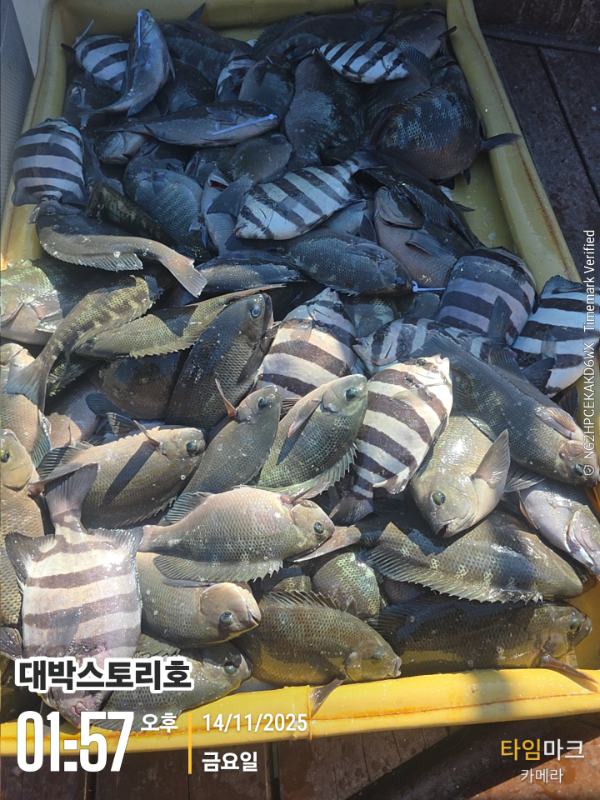 2025-11-14 01.57.44__(대박스토리호).jpg