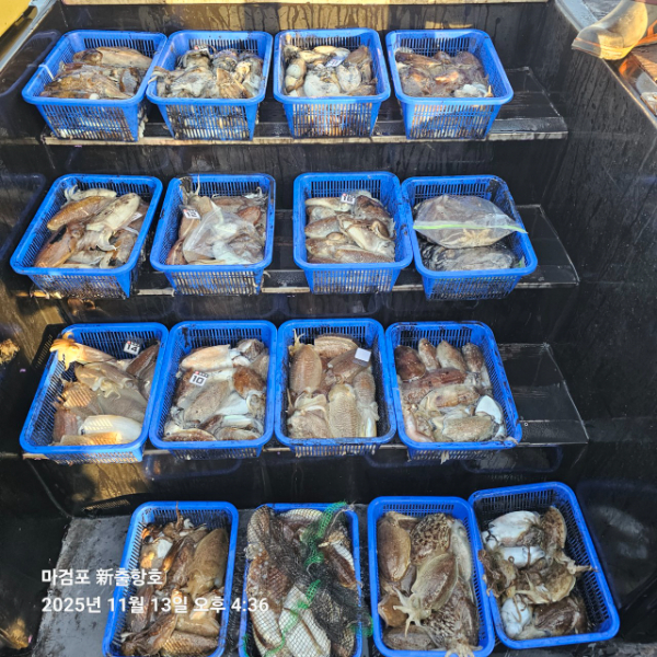 ꫛꫀꪝ✧‧˚ 태안 마검포 新출항호 .• _˚☀₊_사진_20251113_3.jpg