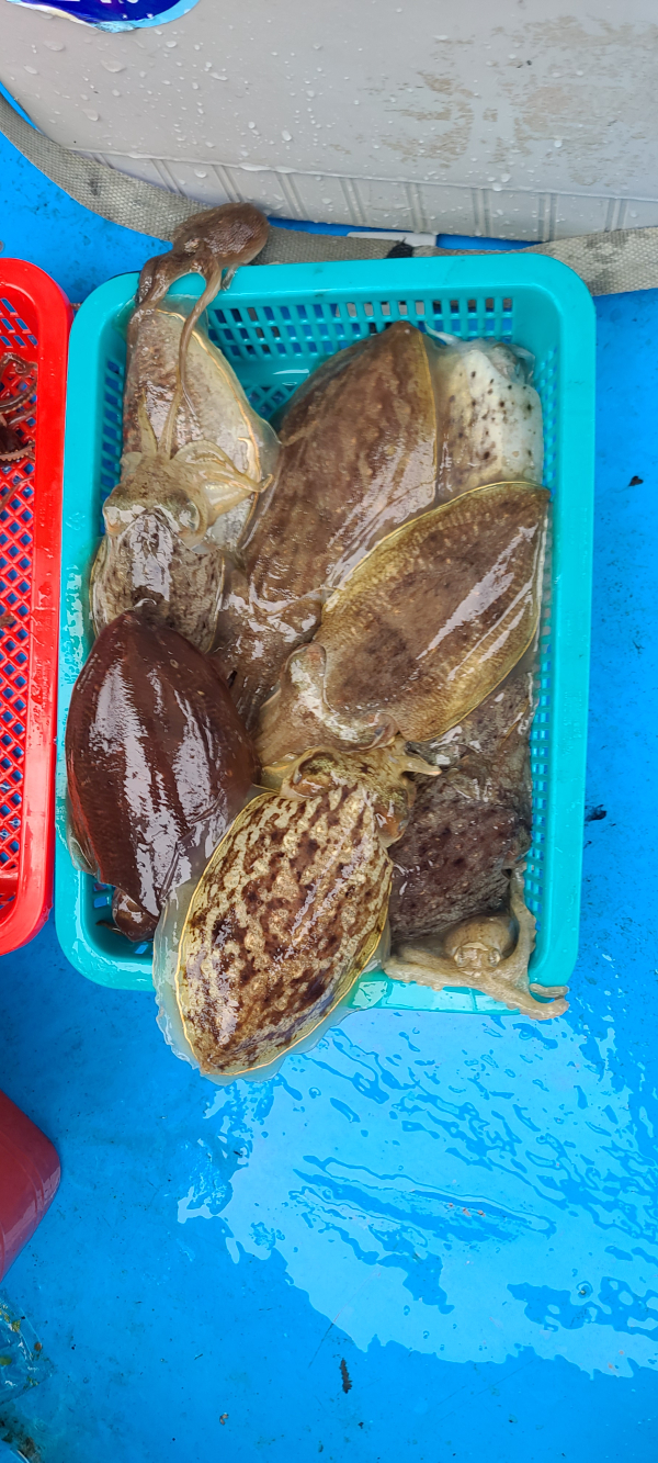 20251031_153343 - 복사본.jpg