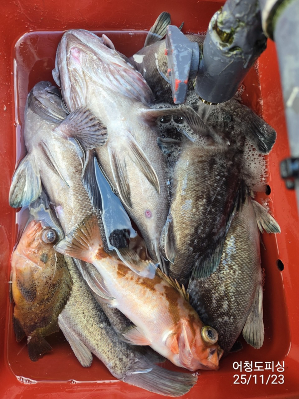 최강피싱 063.463.0800_사진_20251123_24.jpg