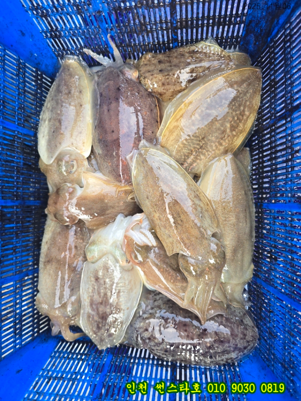 11월06 썬 (14).jpg