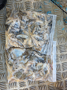 인천쭈꾸미낚시 (4).jpg