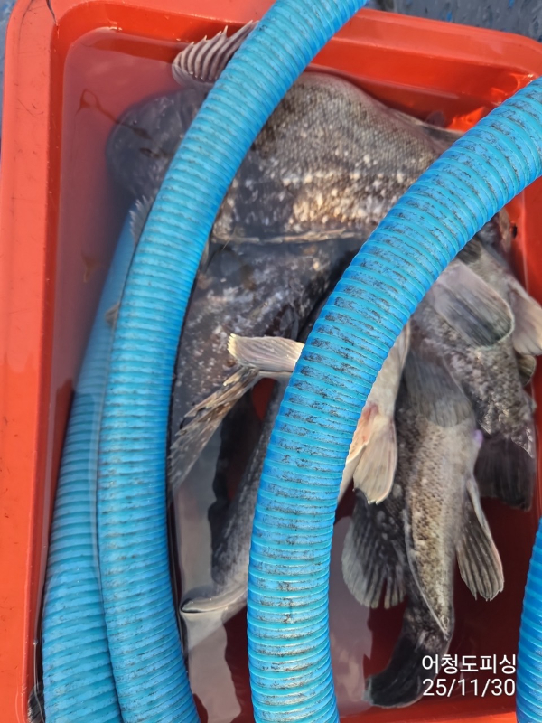 최강피싱 063.463.0800_사진_20251130_18.jpg