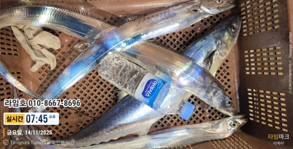 2025-11-14 07.45.05__(제목-실시간)_(라임호 010-8667-8696).jpg