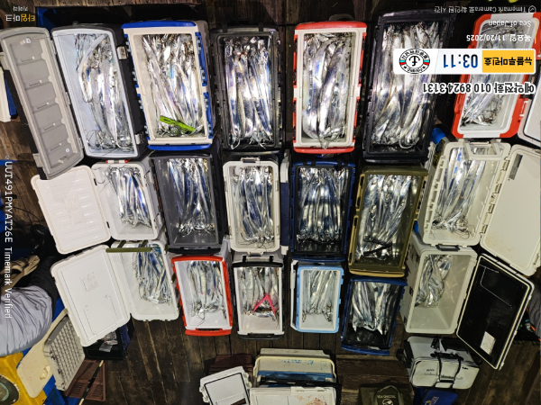 2025-11-20 03.11.35_Japan_(제목-뉴블루마린호)_(예약전화 010 8924 3131).jpg