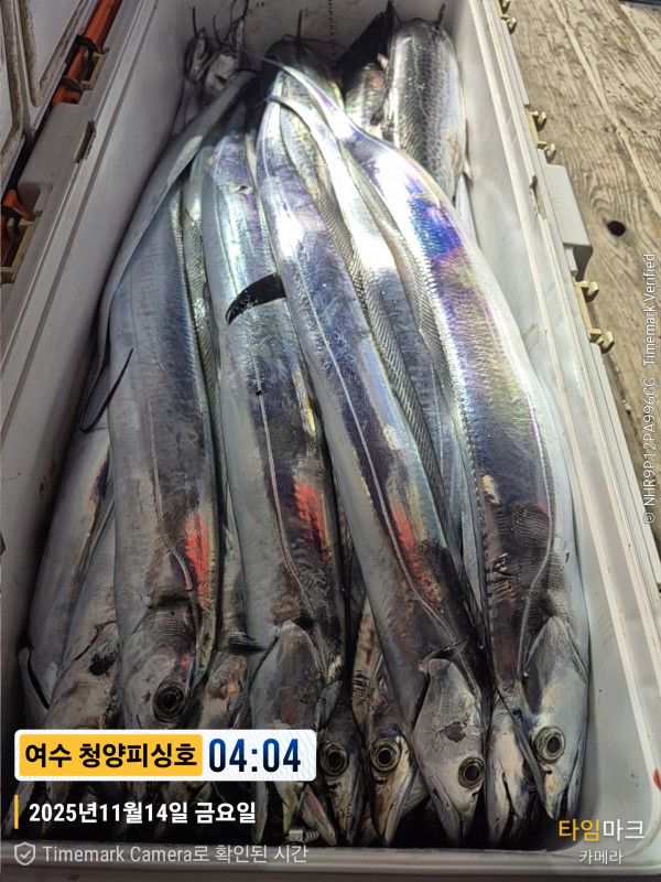 2025-11-14 04.04.43__(제목-여수 청양피싱호).jpg