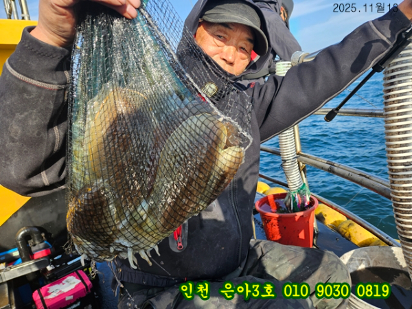 11월13 3호 (10).jpg