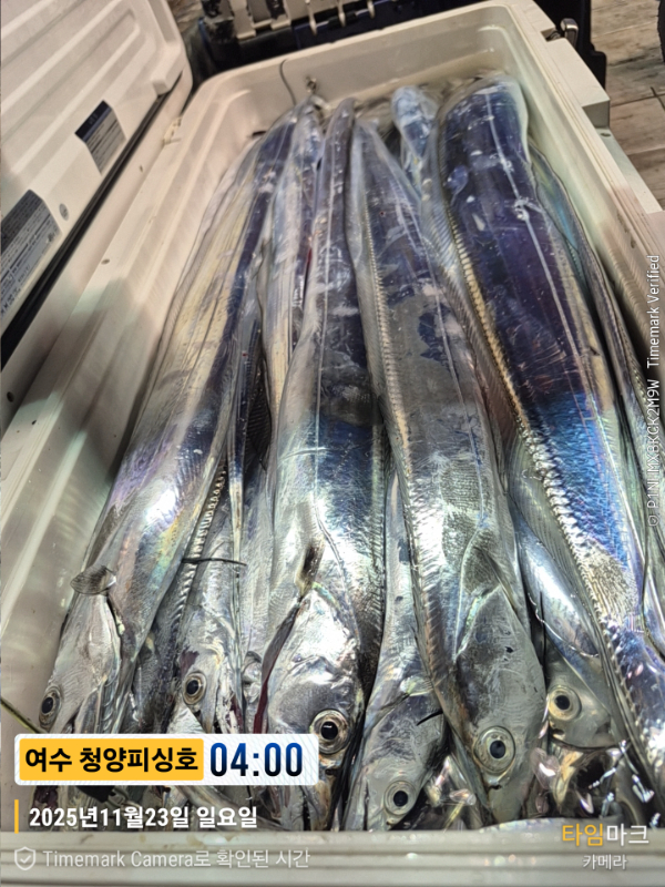 2025-11-23 04.00.00__(제목-여수 청양피싱호).jpg