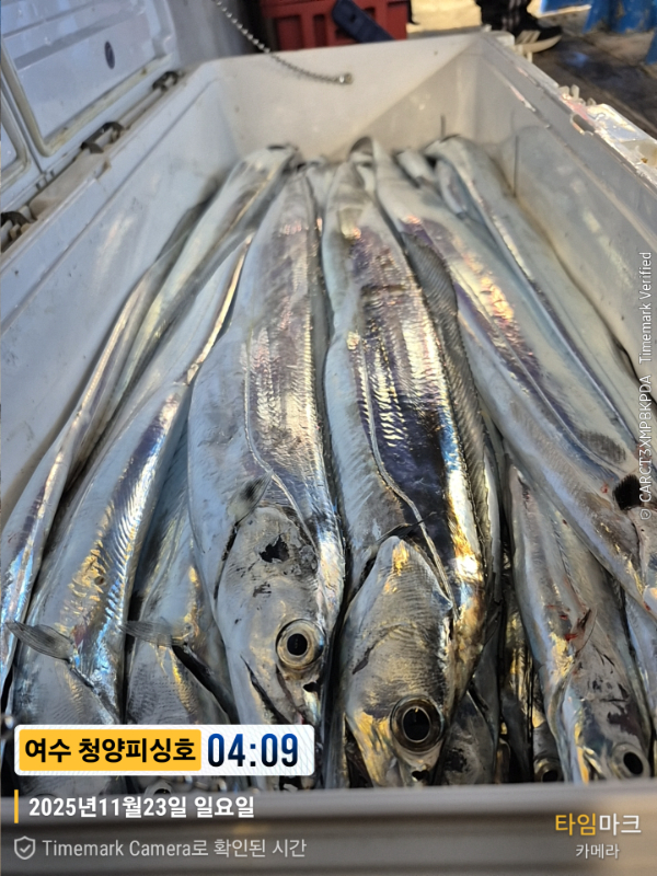 2025-11-23 04.09.33__(제목-여수 청양피싱호).jpg