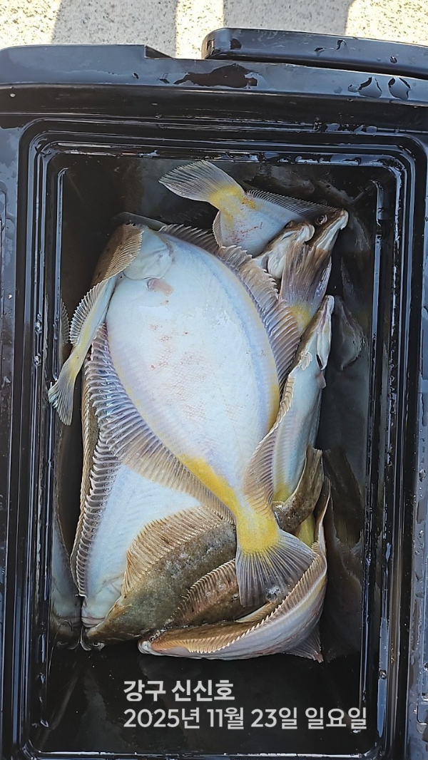 신신낚시 강구점 신신호_사진_20251123_14.jpg